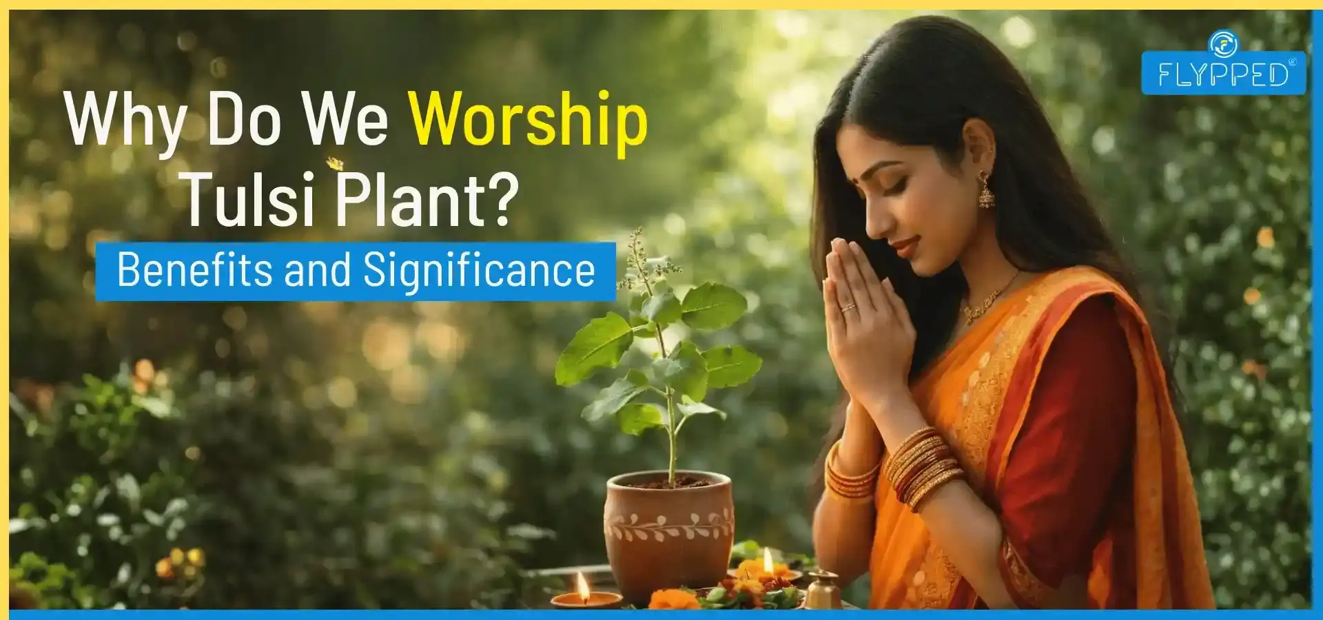 Types of Tulsi Plant: Benefits, Uses, Vastu & Worship Tips