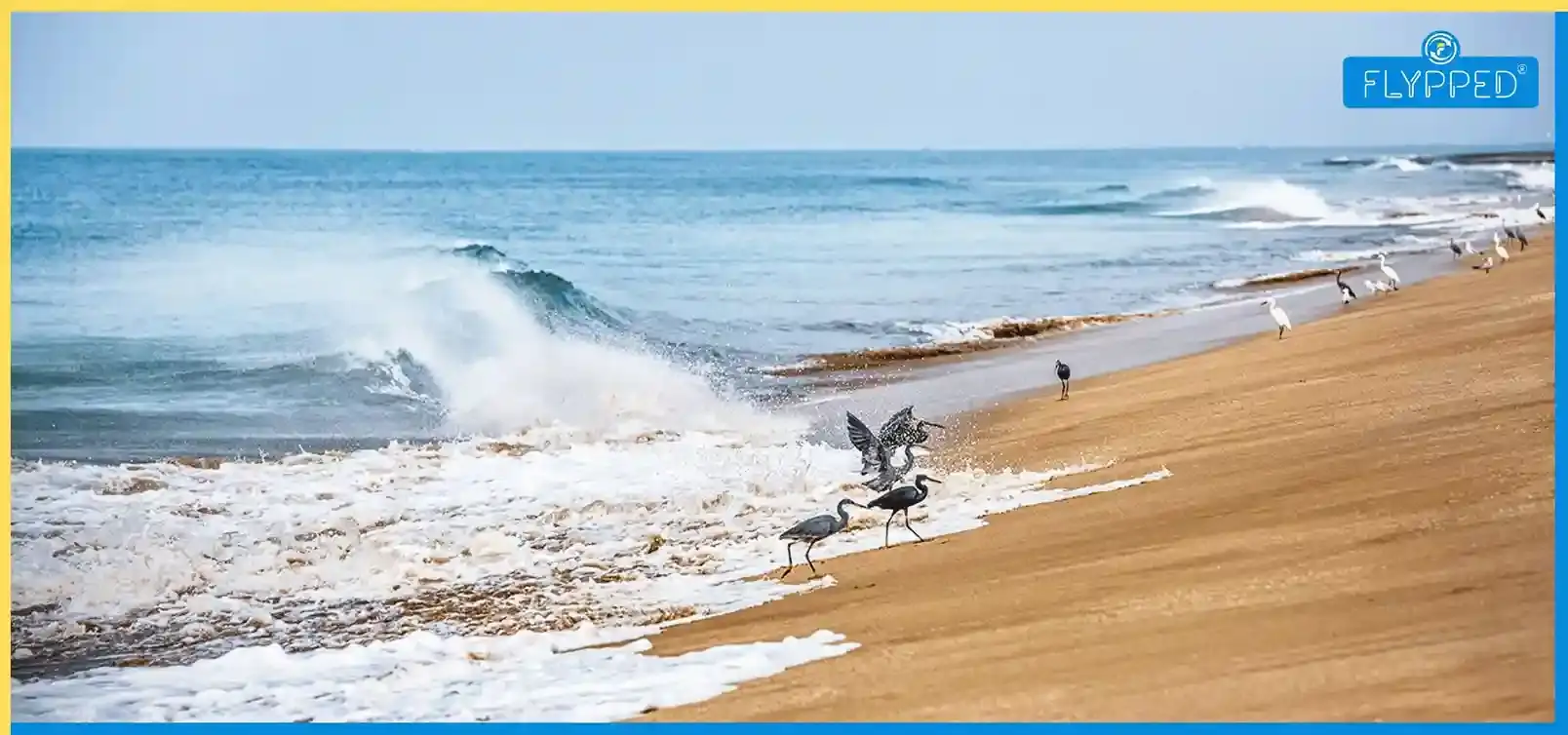Dumas Beach, Gujarat