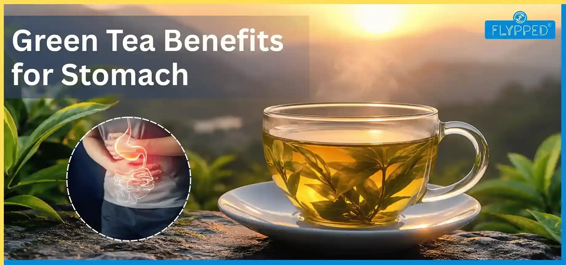 Green Tea Benefits for Stomach: Truth About Bloating, Acidity and Gut Health