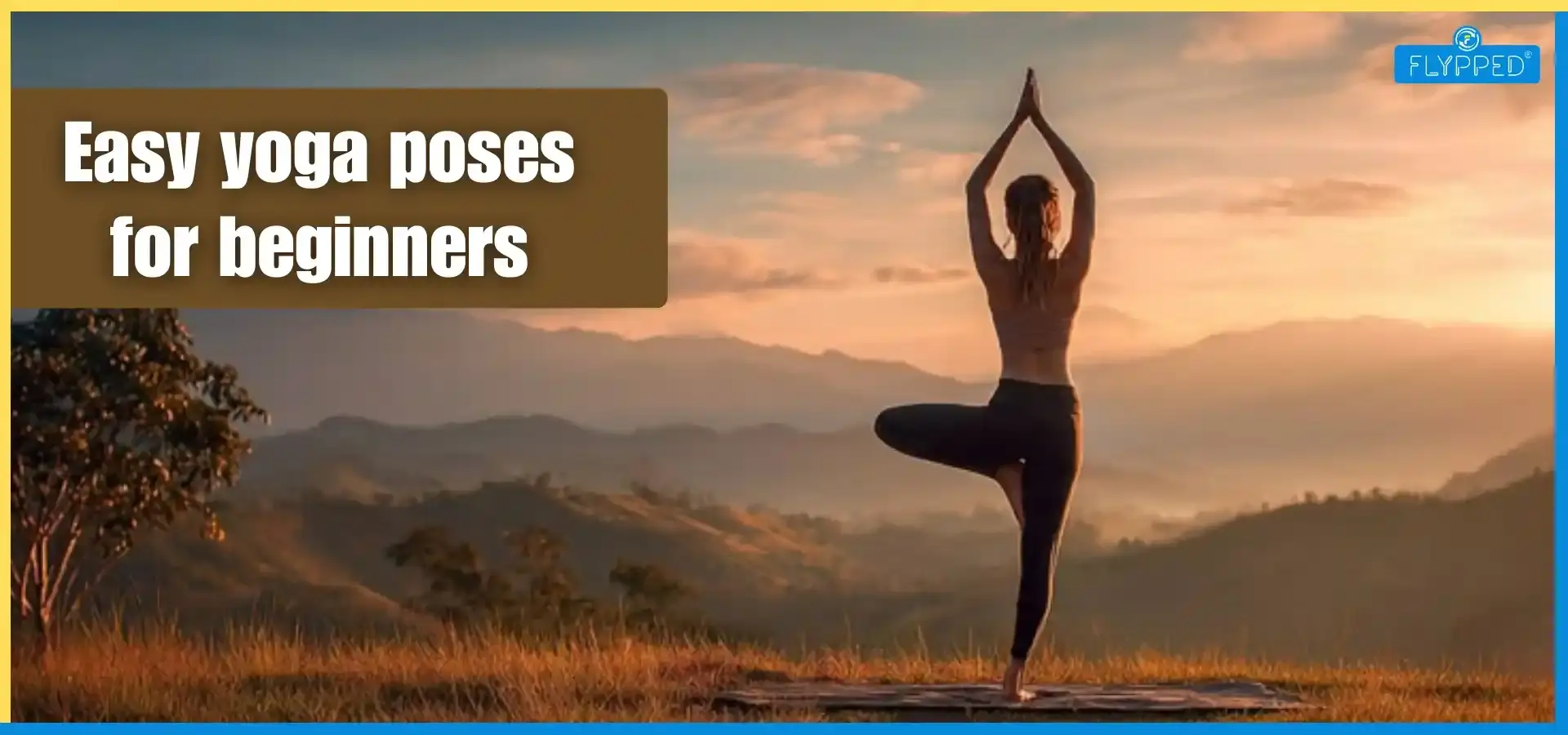 Top 10 Yoga Poses for Beginners With Their Benefits for a Healthy Body and Mind