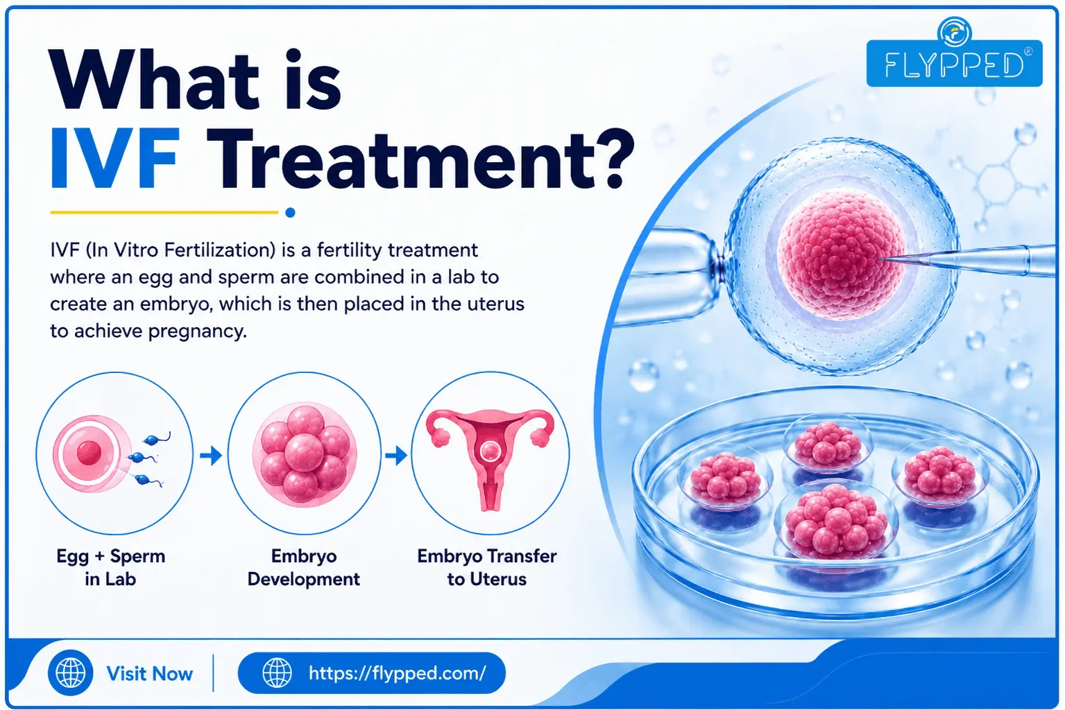 What is IVF Treatment