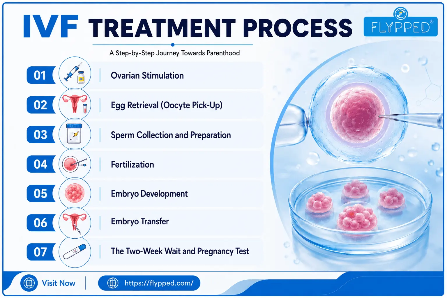 IVF Treatment Process