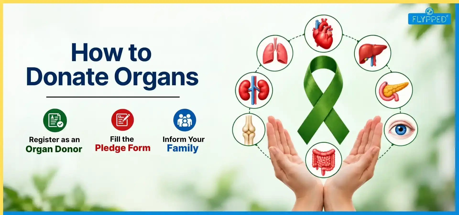 How to Donate Organs: Steps, Types, Registration & Important Facts